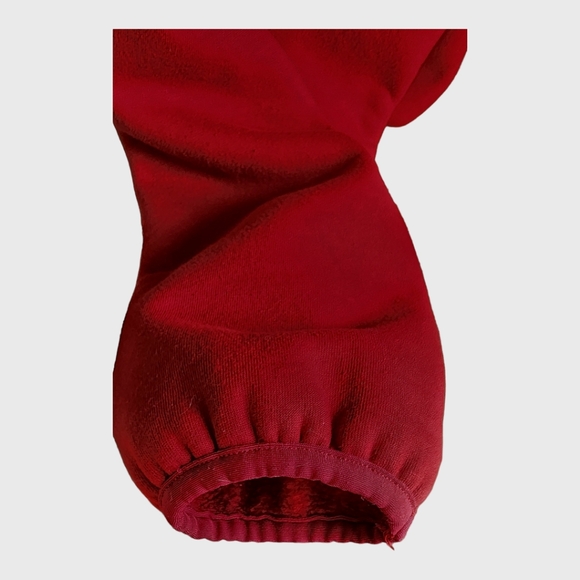 Patagonia Women's Pullover Hoodie, Fleece, Half Snap, Size Large, L - Picture 14 of 15